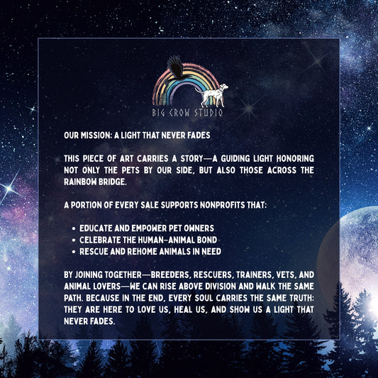 A Light that Never Fades | Dalmatian Graphic Tee