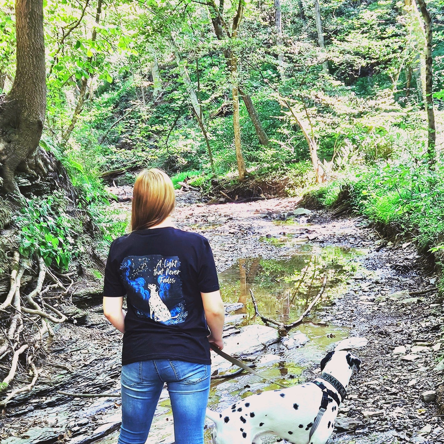 A Light that Never Fades | Dalmatian Graphic Tee